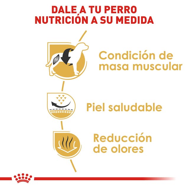 Royal Canin Bulldog Francés 7.2 Kg - Alimento para Perro Royal Canin Bulldog Francés 7.2 Kg - Alimento para Perro